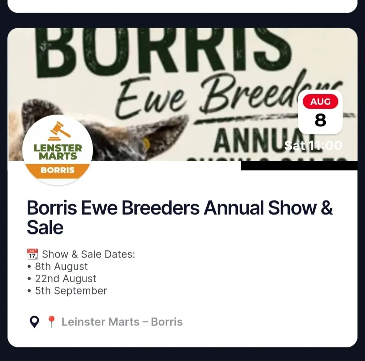 Borris Ewe Breeders 2026 - Image 1