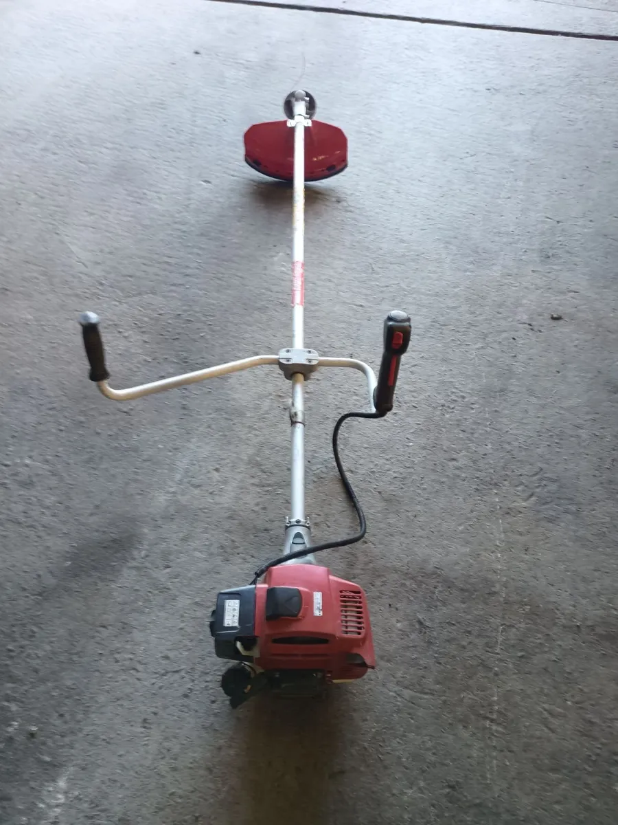 Strimmer - Image 1