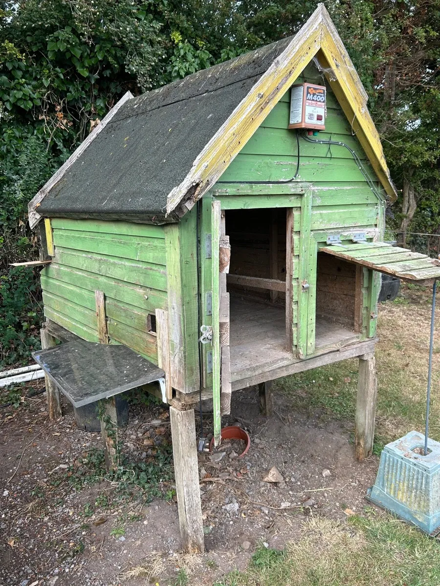 Hen House - Image 3