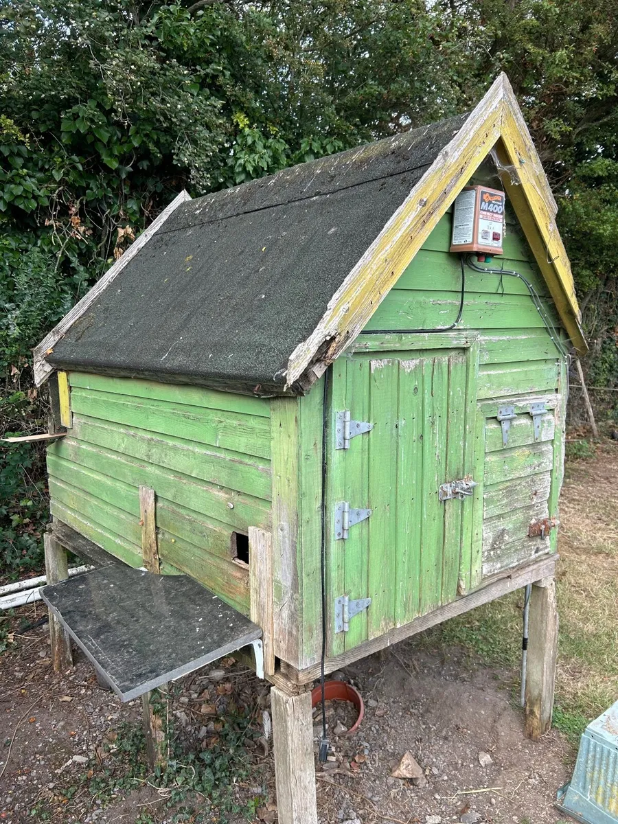 Hen House - Image 4