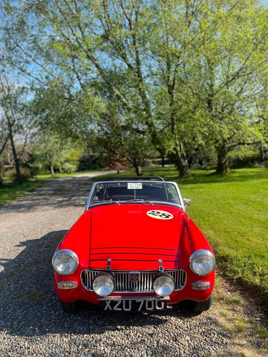 MG Midget - Image 2