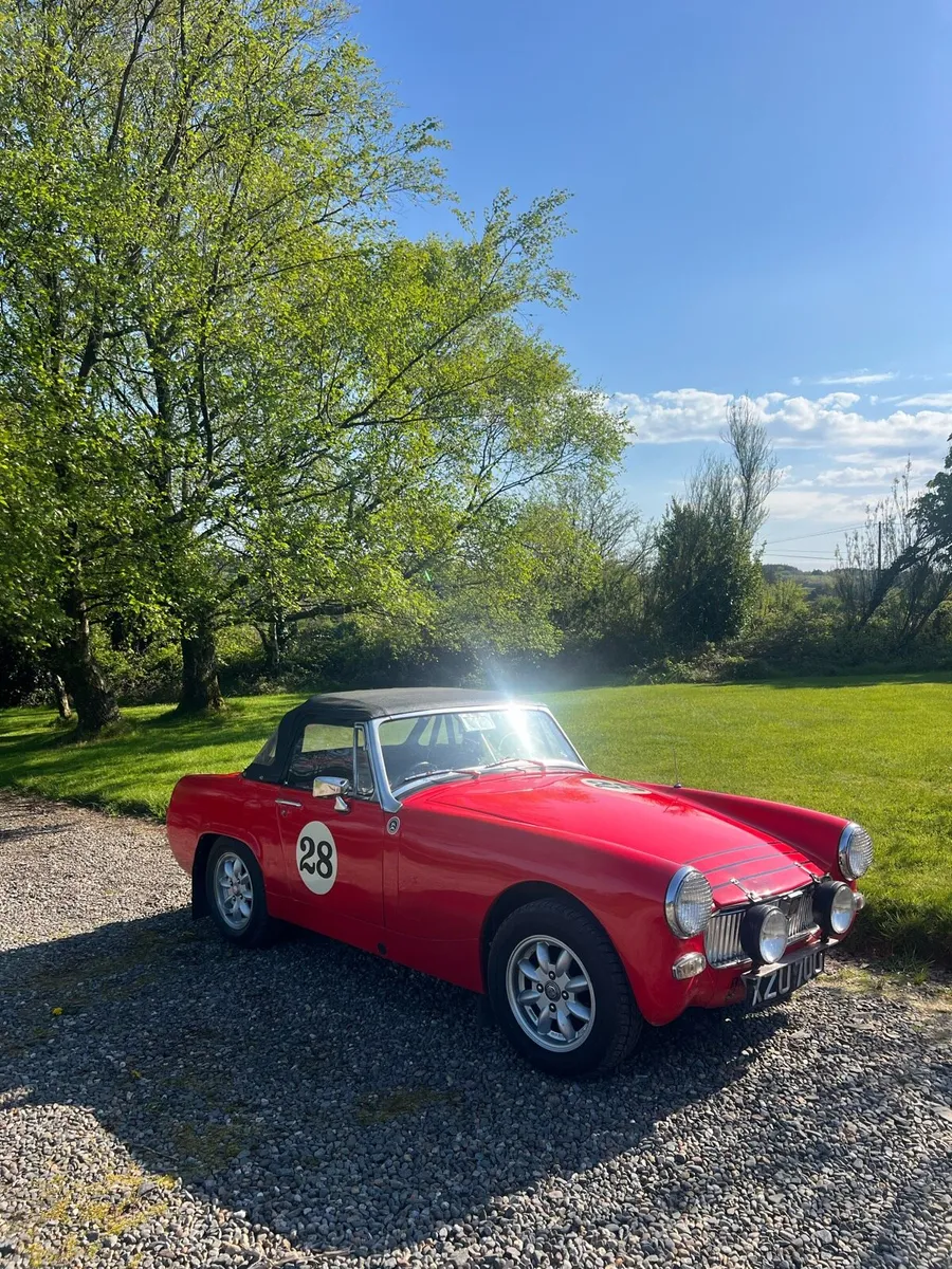 MG Midget - Image 3