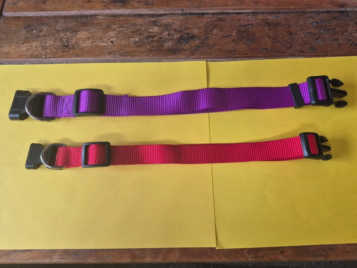 Dog collars lots of ten in sets total 80 collars - Image 2