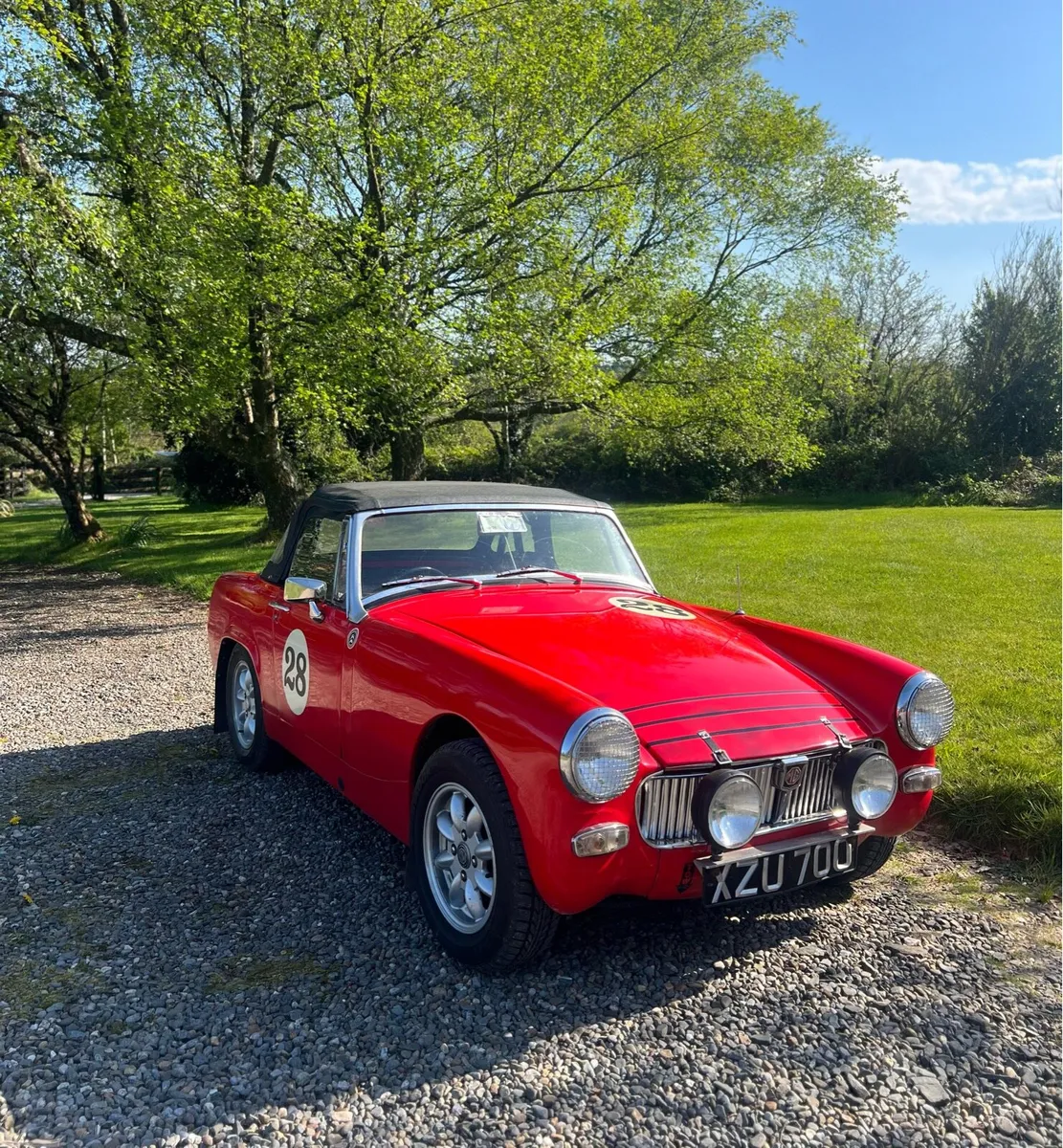 MG Midget - Image 1