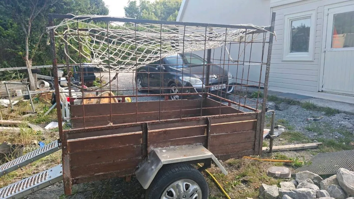 Car trailer - Image 1