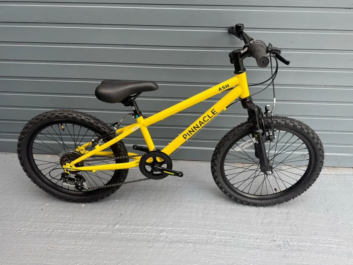 Kids 20 inch bike new