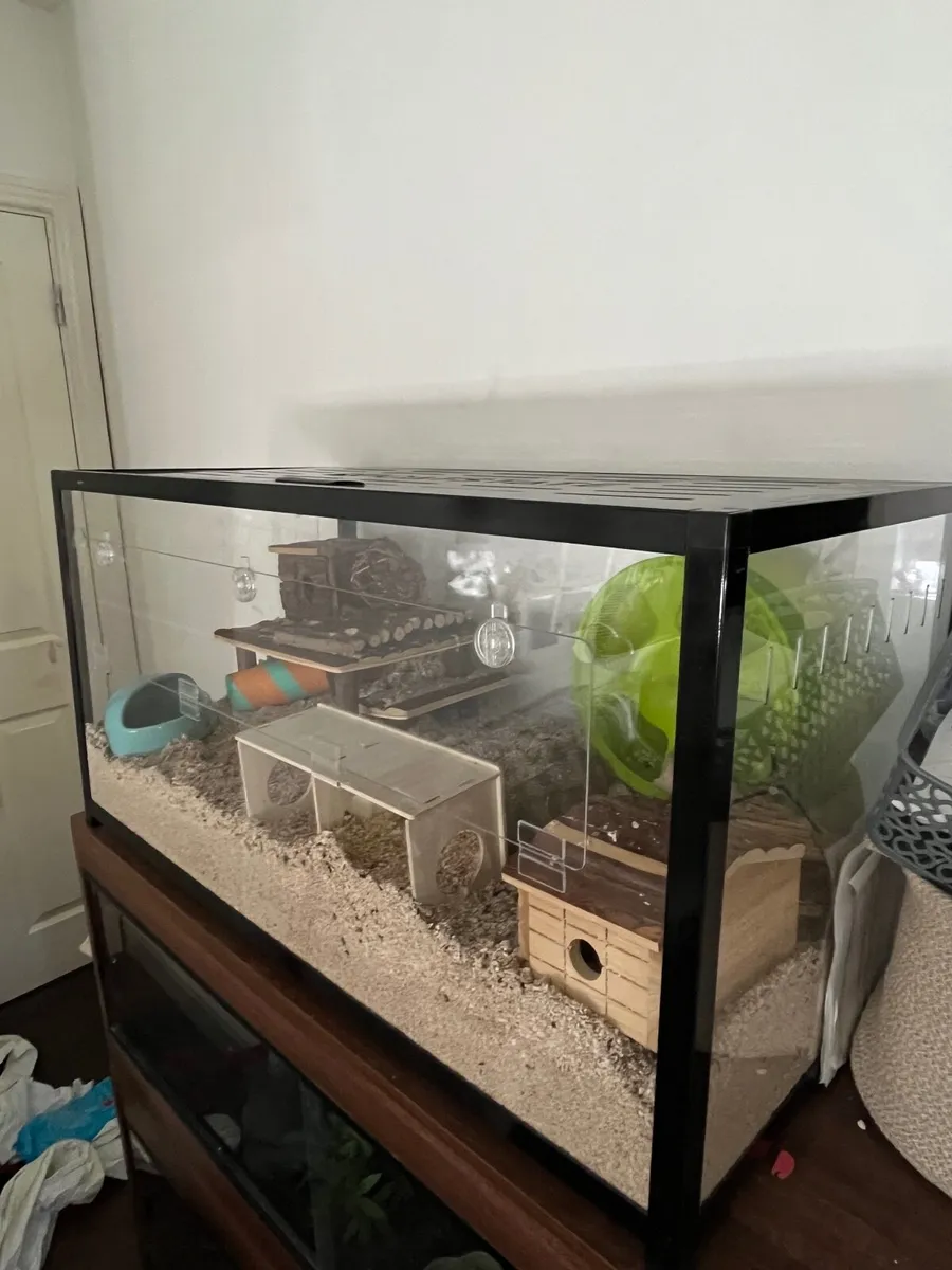 Bucastate Hamster Cage - Image 2