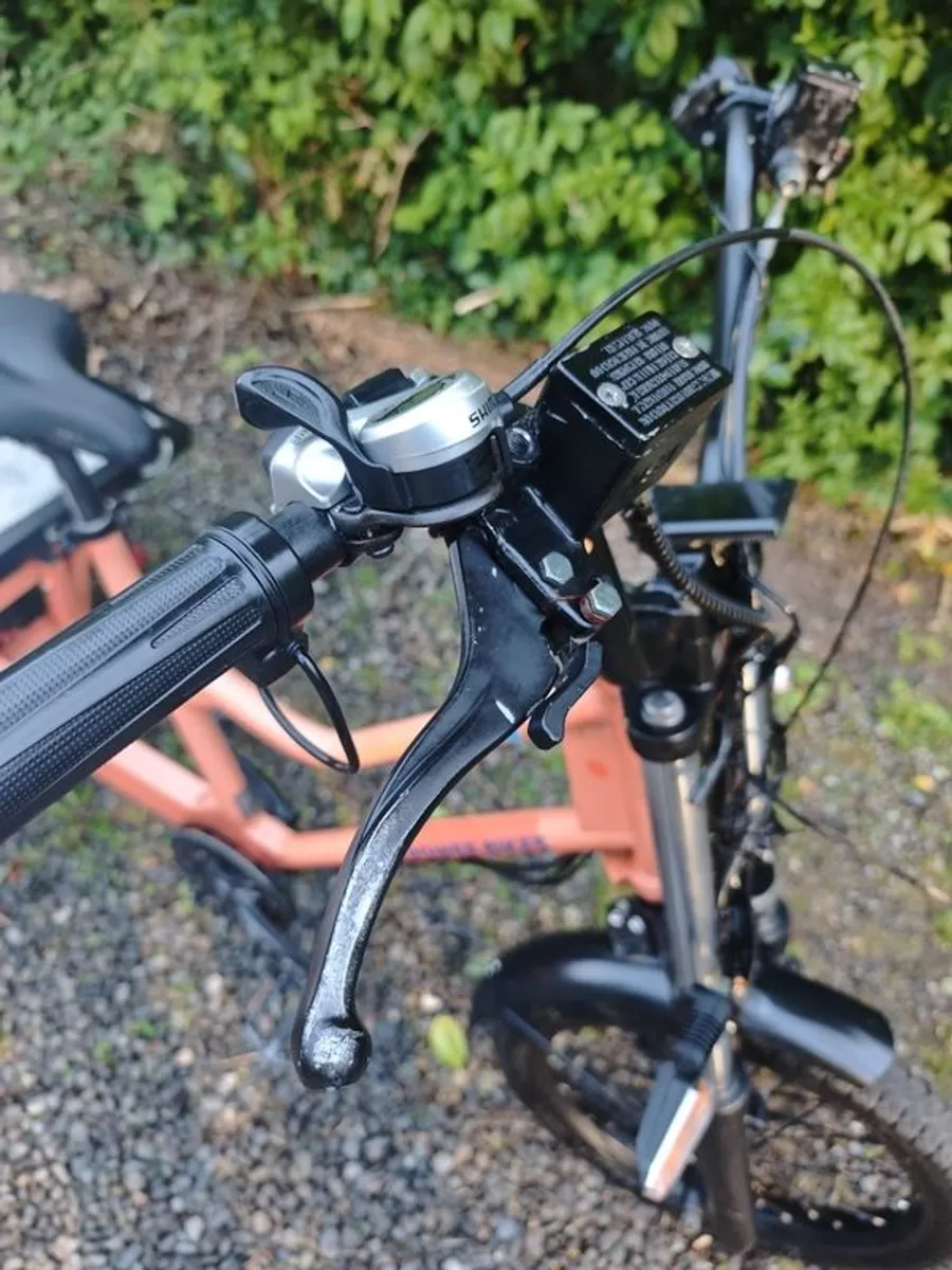 Rad bikes RadBurro cargo bike - Image 4