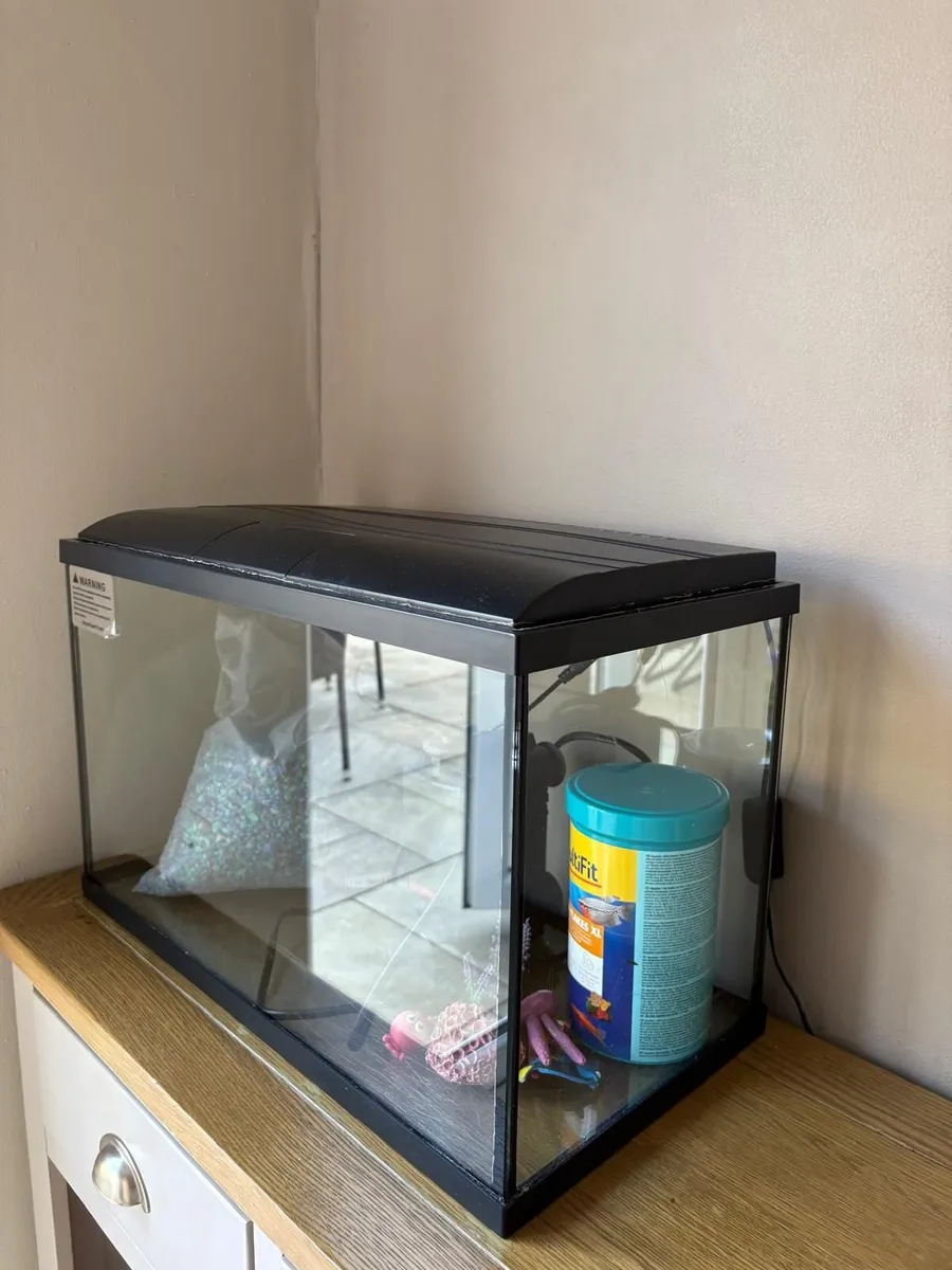 Fish Tank - Image 1