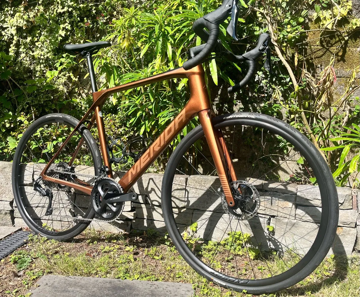 Carbon MERIDA Scultura Endurance 4000 - Image 1