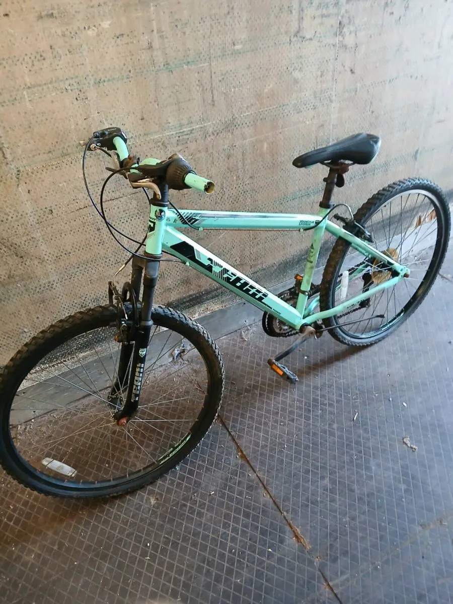 Bikes - Image 2