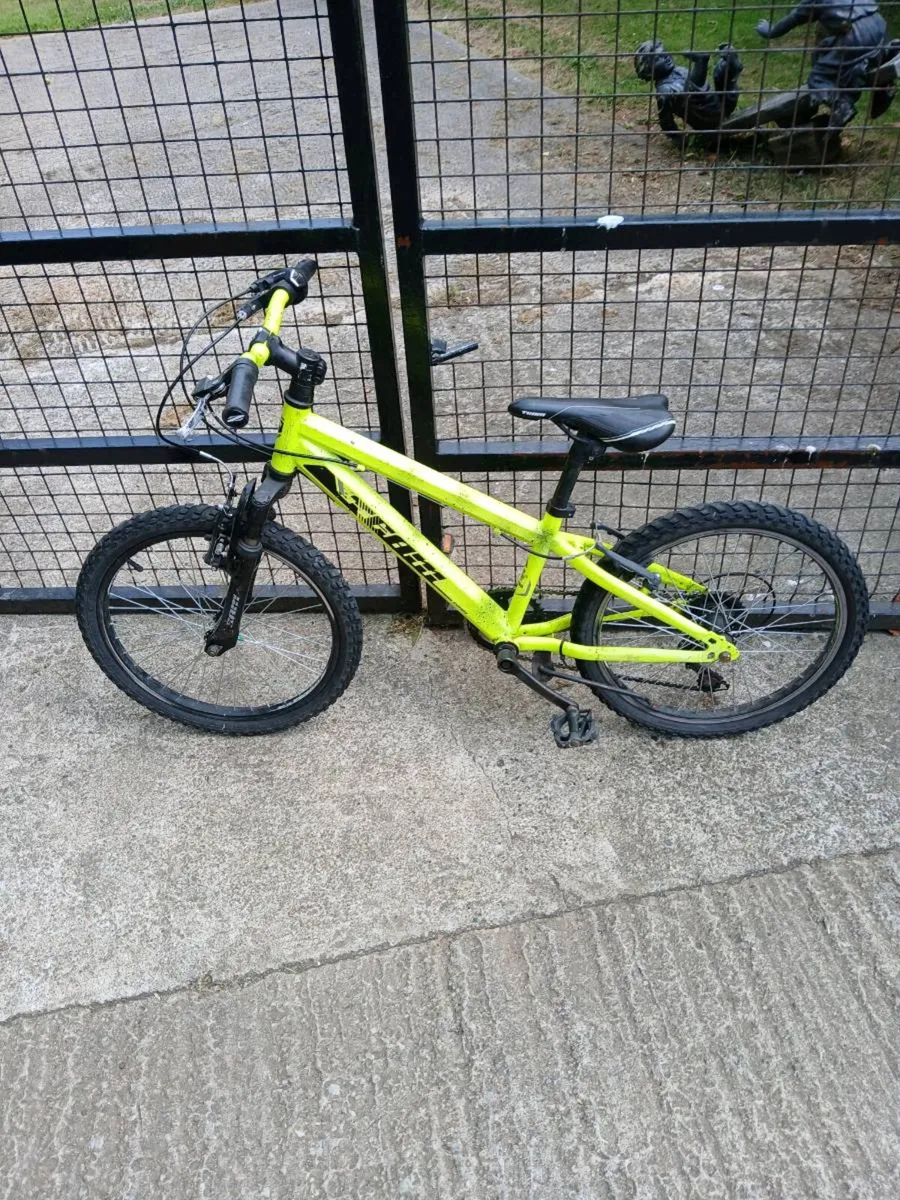 Bikes - Image 3