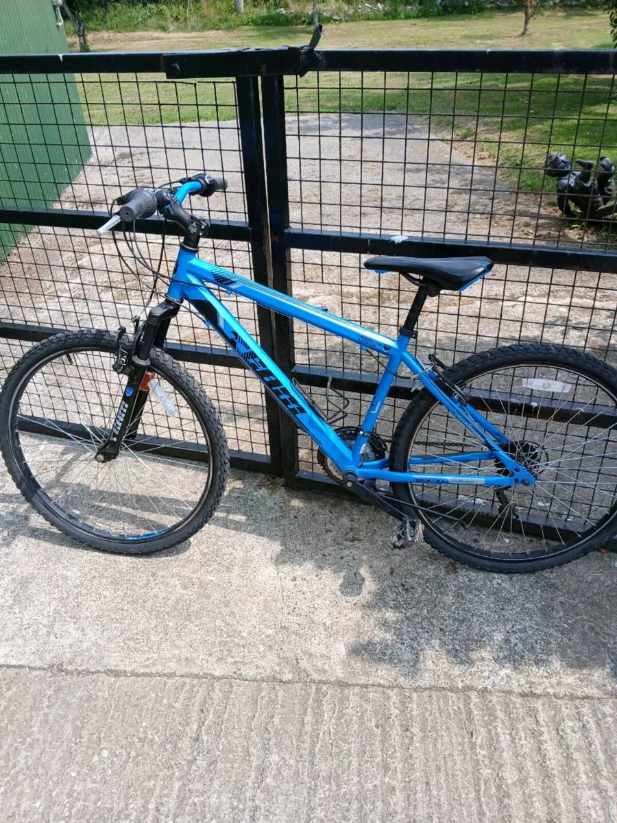 Bikes - Image 1
