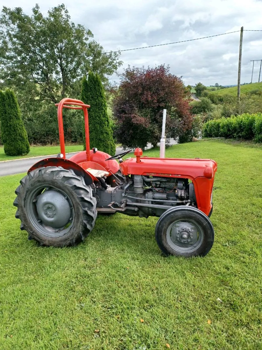 Tractor 35 Massey - Image 1