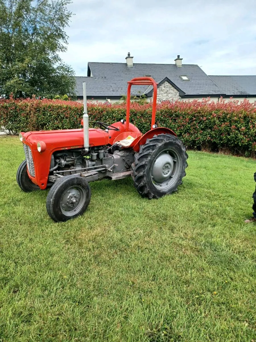 Tractor 35 Massey - Image 2