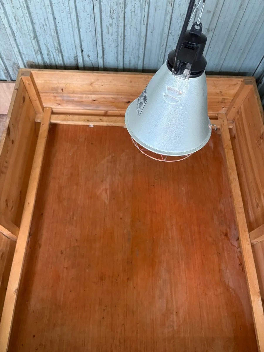 Welping box/heat lamp - Image 3