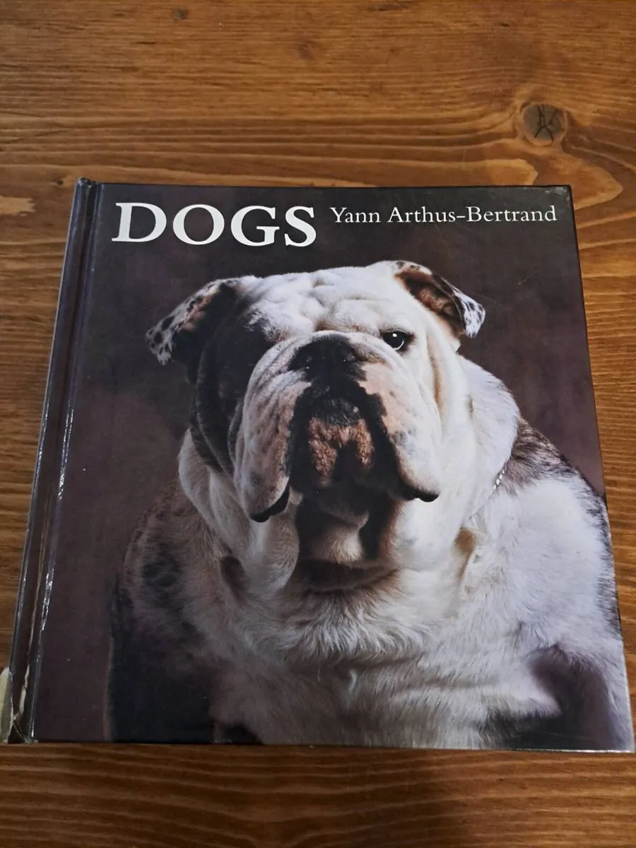 Non-Fiction, Travel & Interesting Reads - Image 2