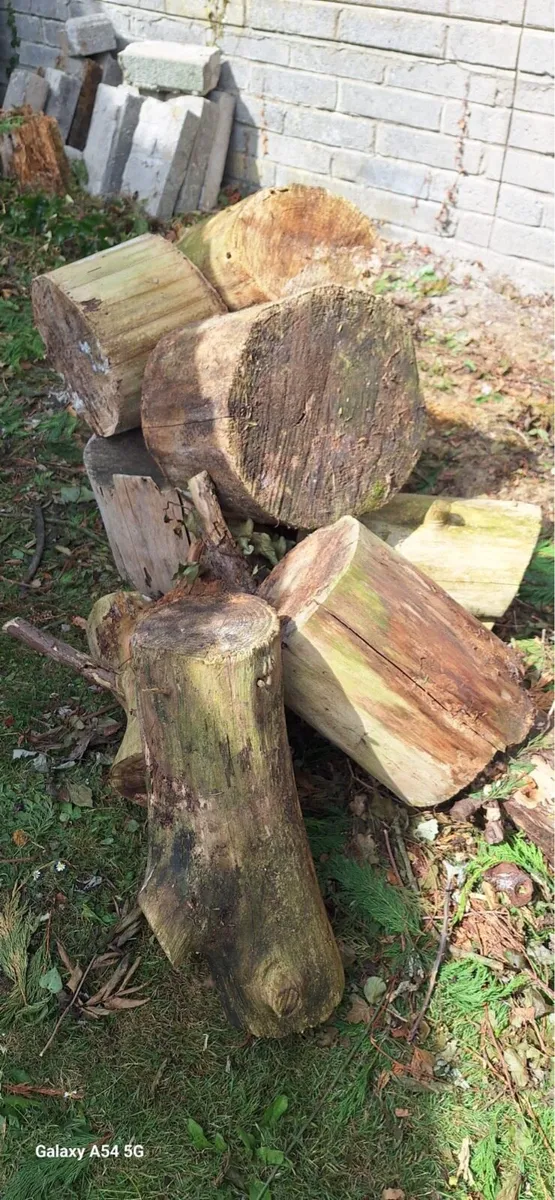 Wood - free to take away