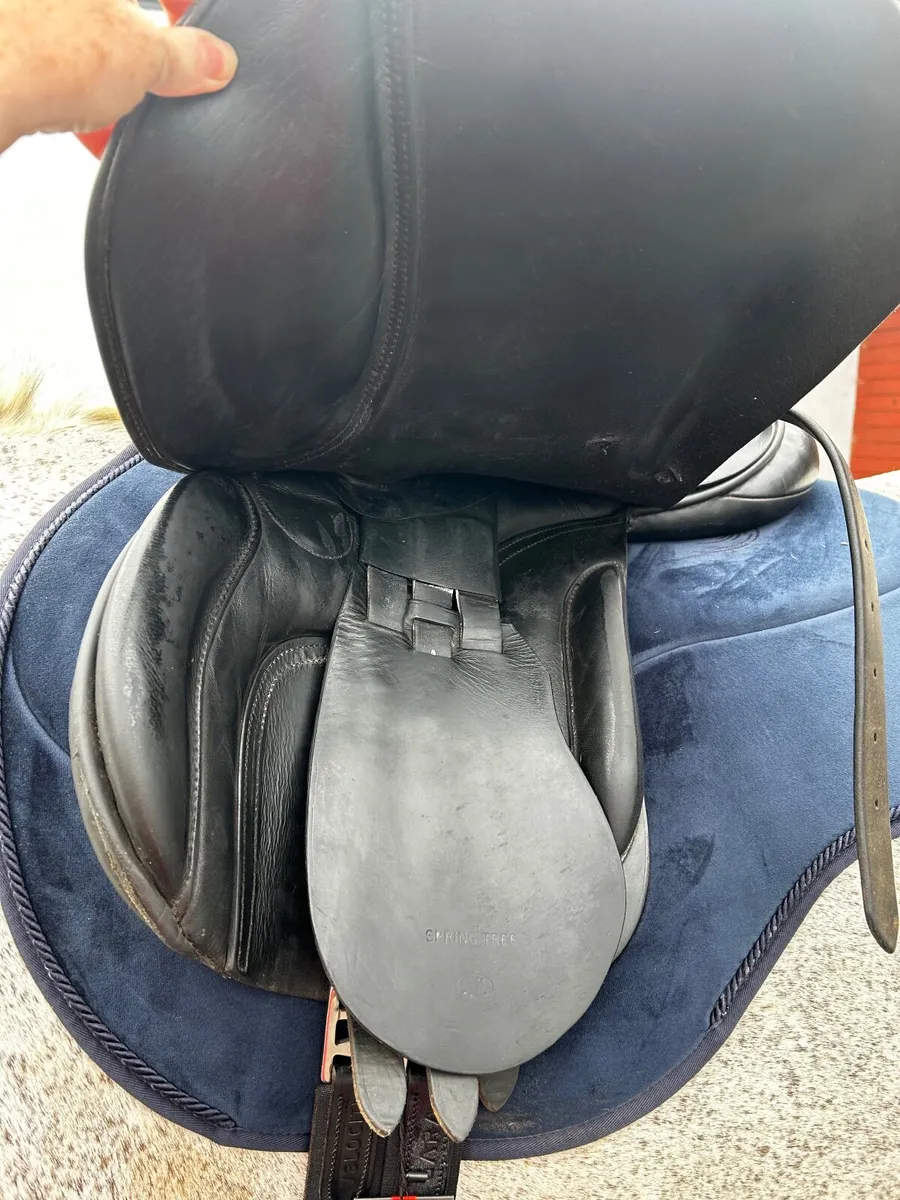 Saddle - Image 3