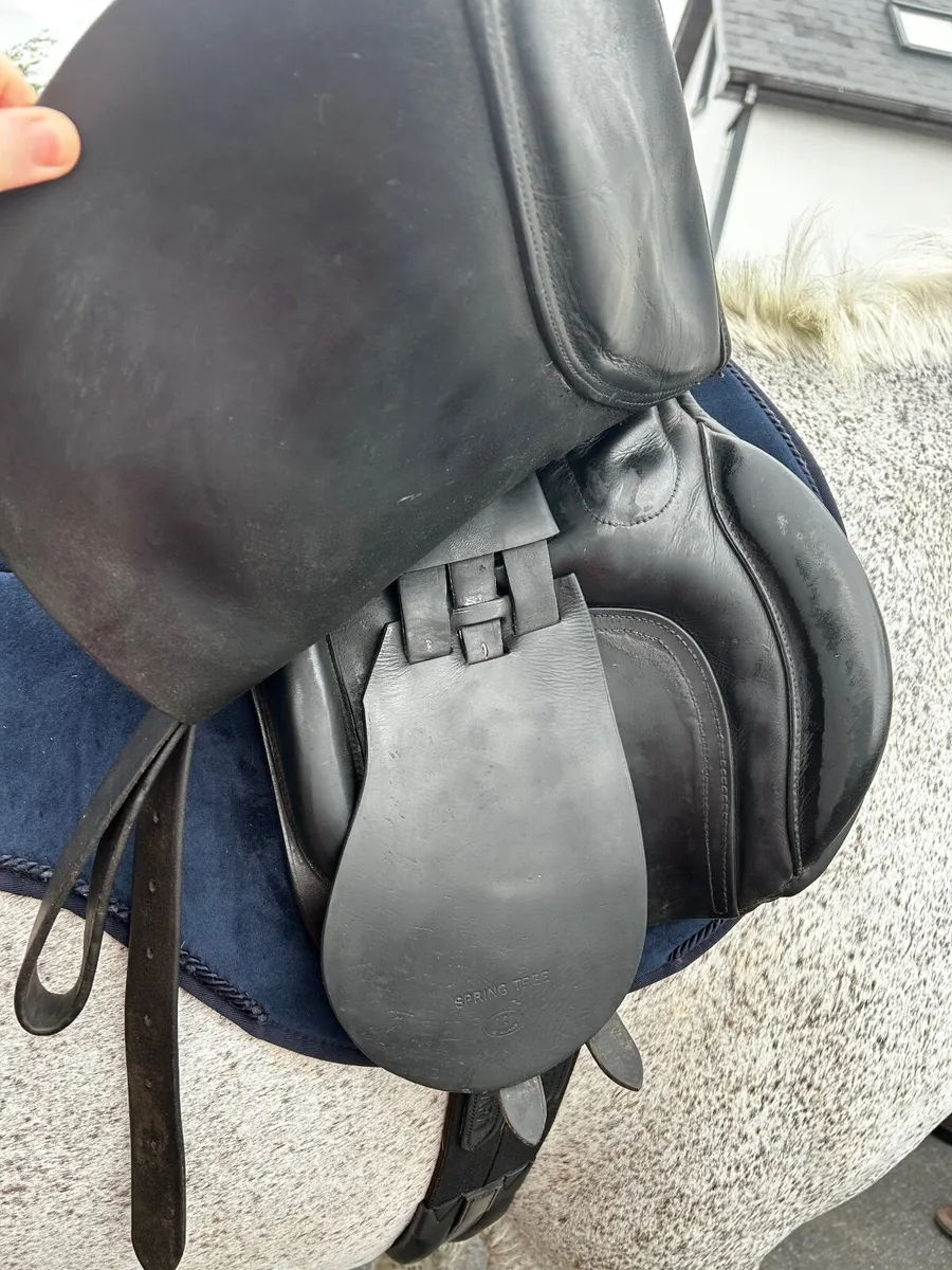 Saddle - Image 4