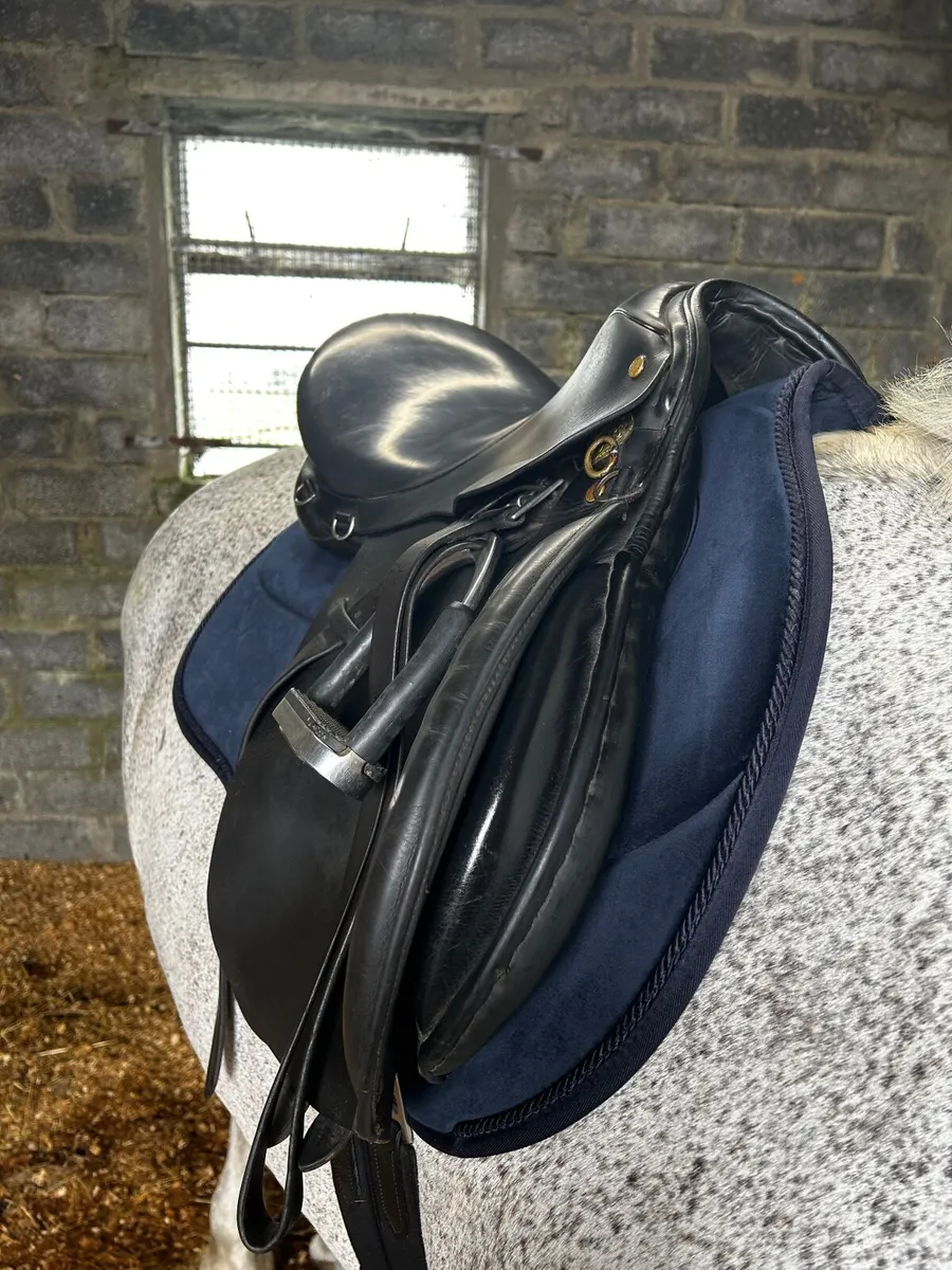 Saddle - Image 2