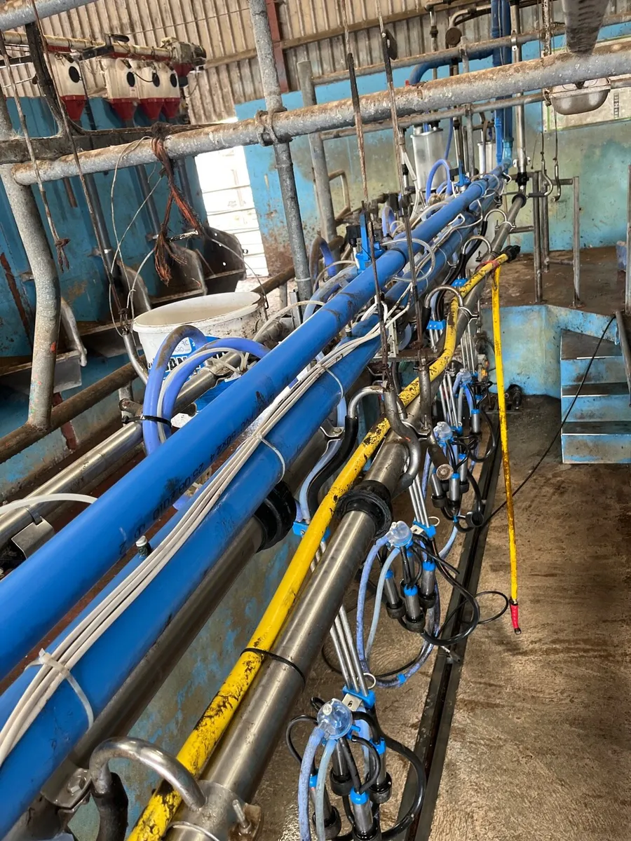 14 unit Dairymaster milking machine - Image 3