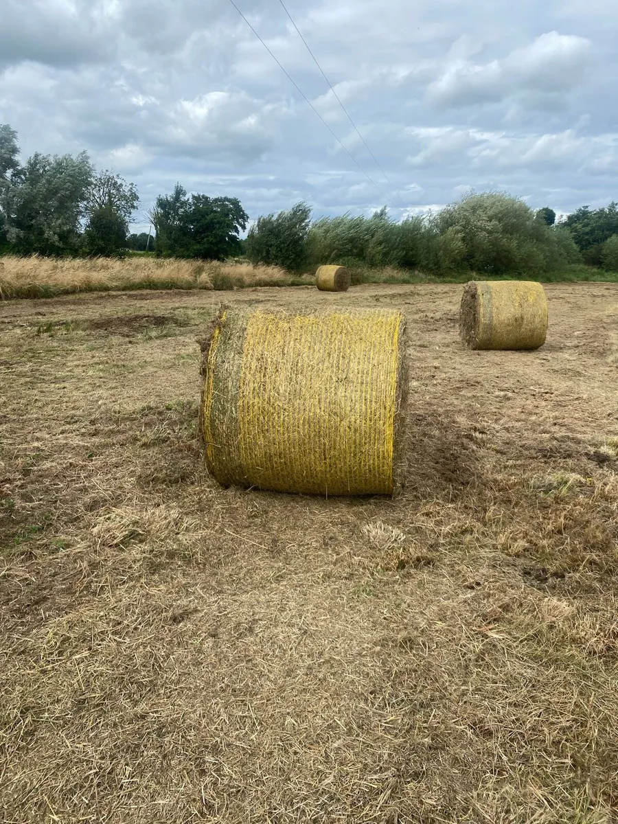 Bales - Image 1