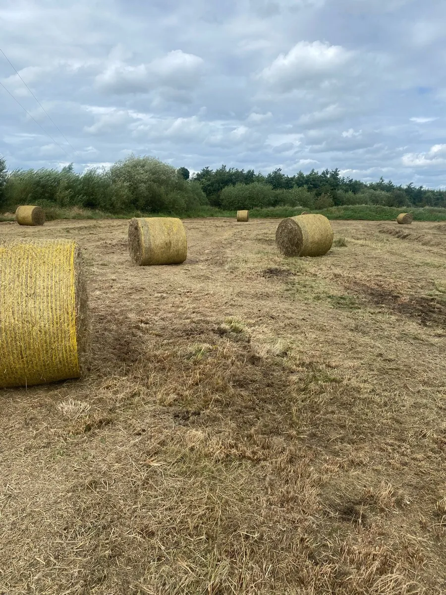 Bales - Image 2