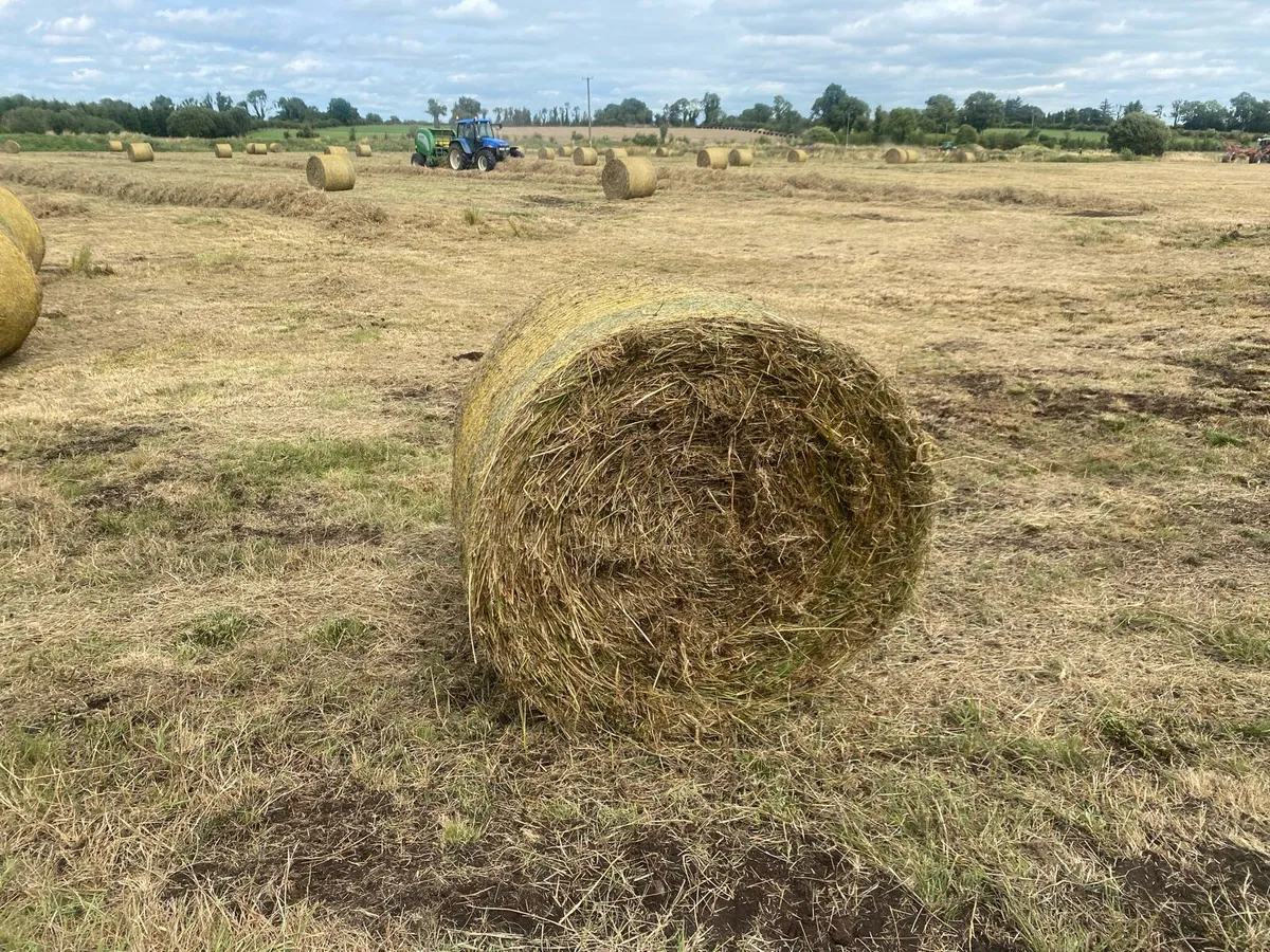 Bales - Image 3