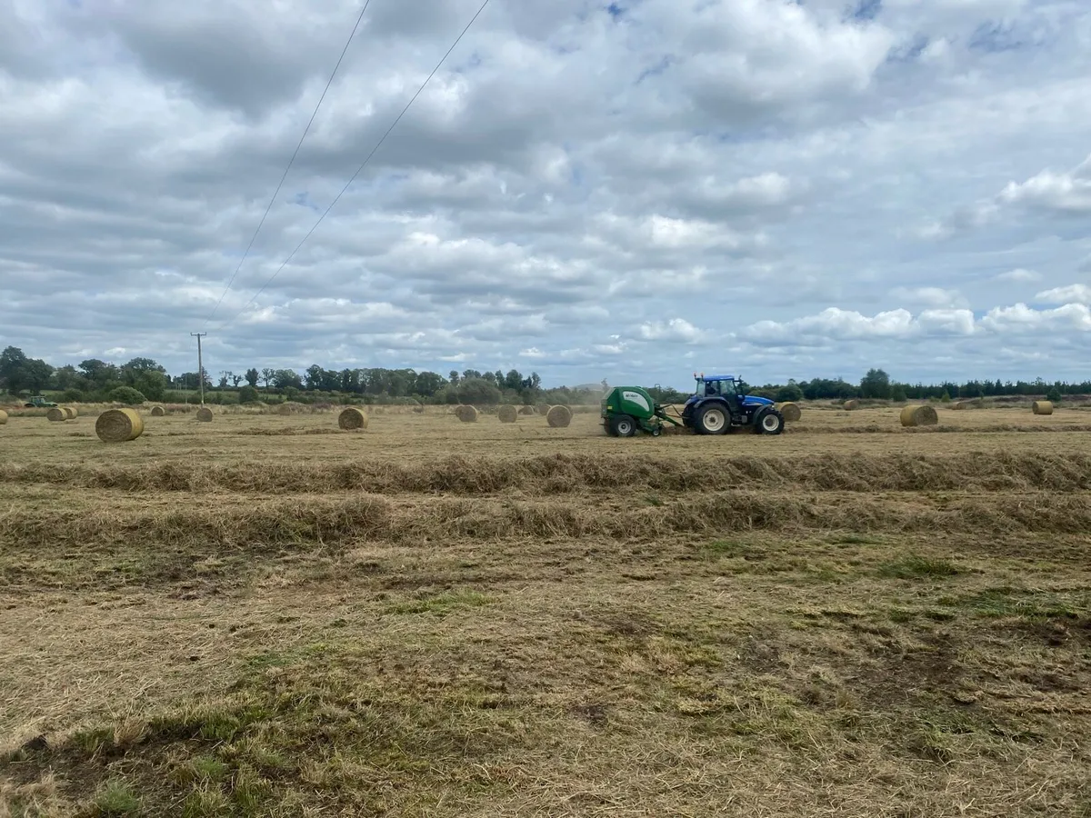 Bales - Image 4