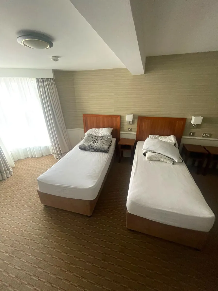 Carpets - Image 2