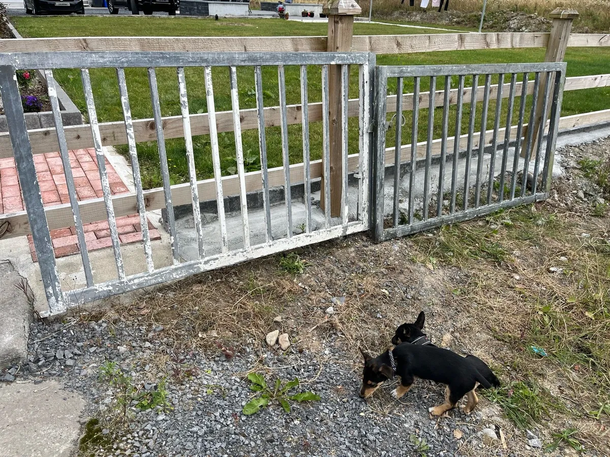 Gates - Image 2