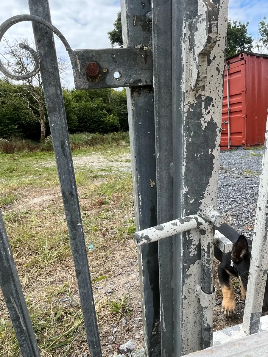 Gates - Image 3