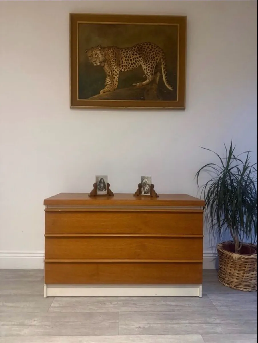 Mie Century Chest of Drawers - Image 4
