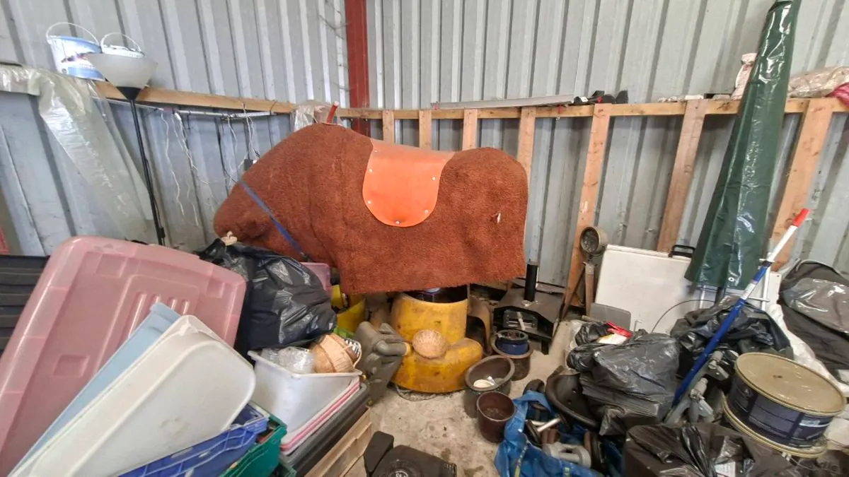 Rodeo bull with complete Surround - Image 1