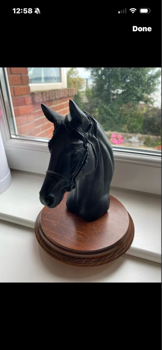 Horse Head Display - Image 2