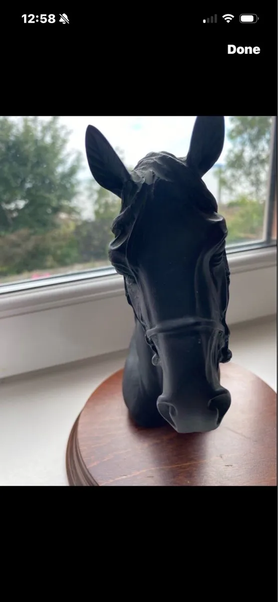 Horse Head Display - Image 3