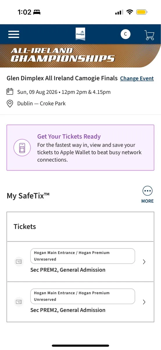 Camogie Final Tickets
