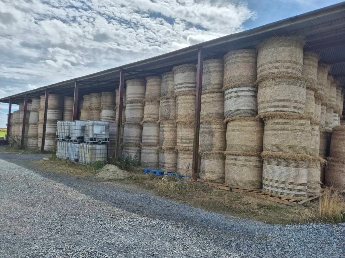 Organic hay for sale - Image 2