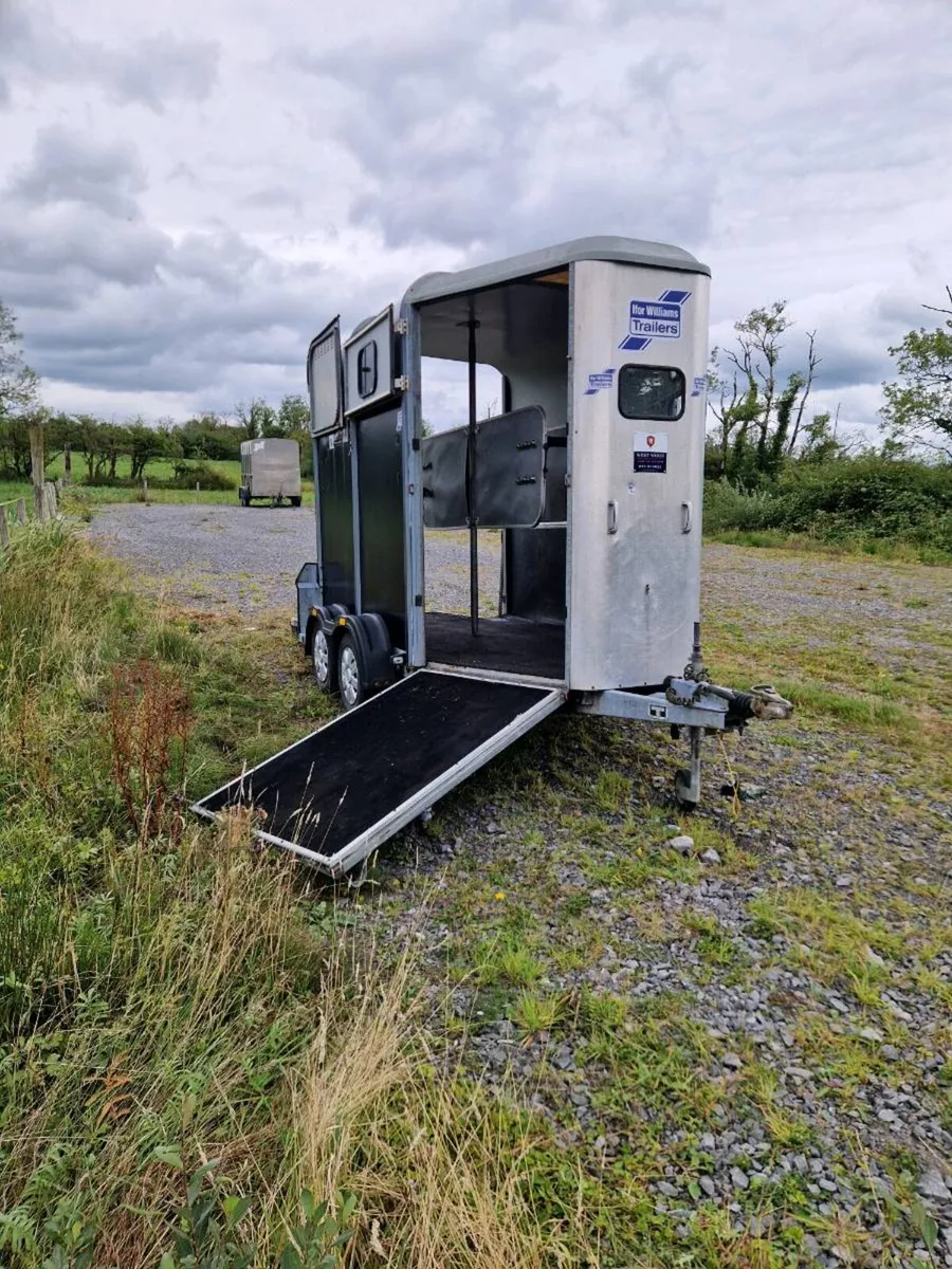 Ifor williams 505 horsebox - Image 1