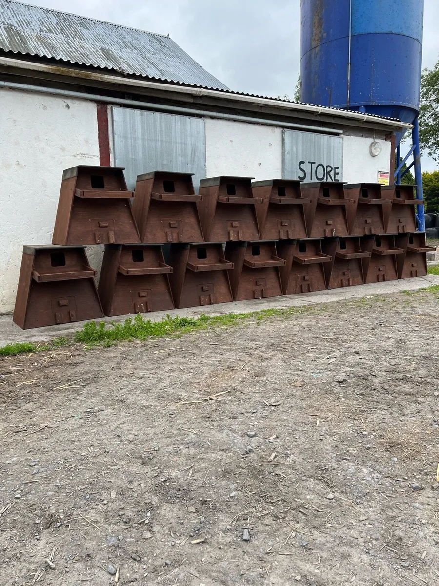 Owl boxes - Image 4
