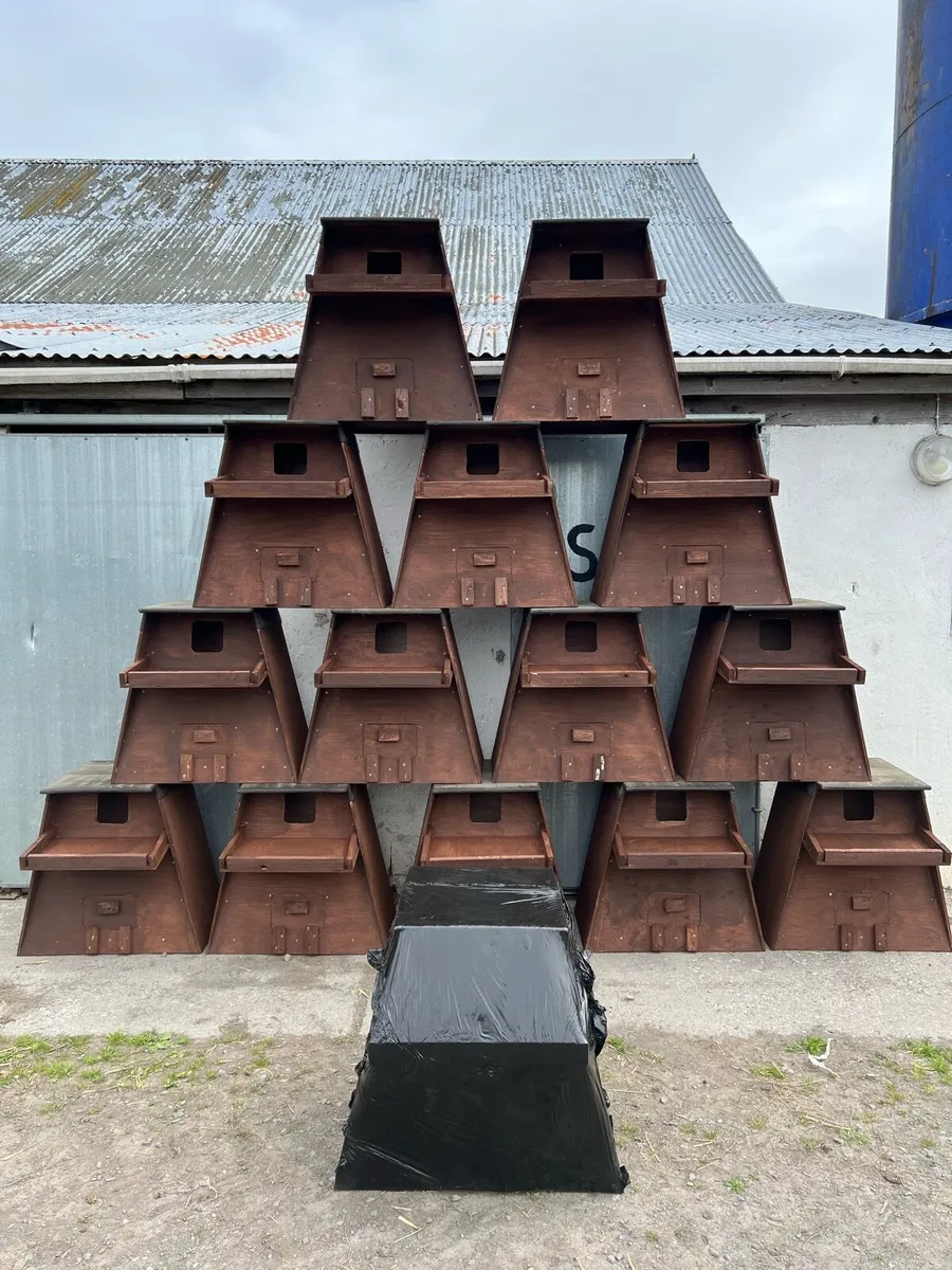 Owl boxes - Image 2