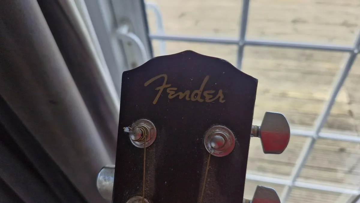 Fender DG-5 SBST Sunburst Acoustic Guitar for sale - Image 2
