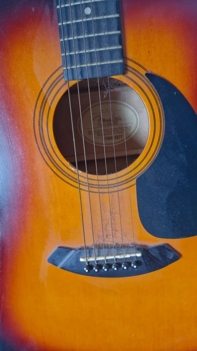 Fender DG-5 SBST Sunburst Acoustic Guitar for sale - Image 3