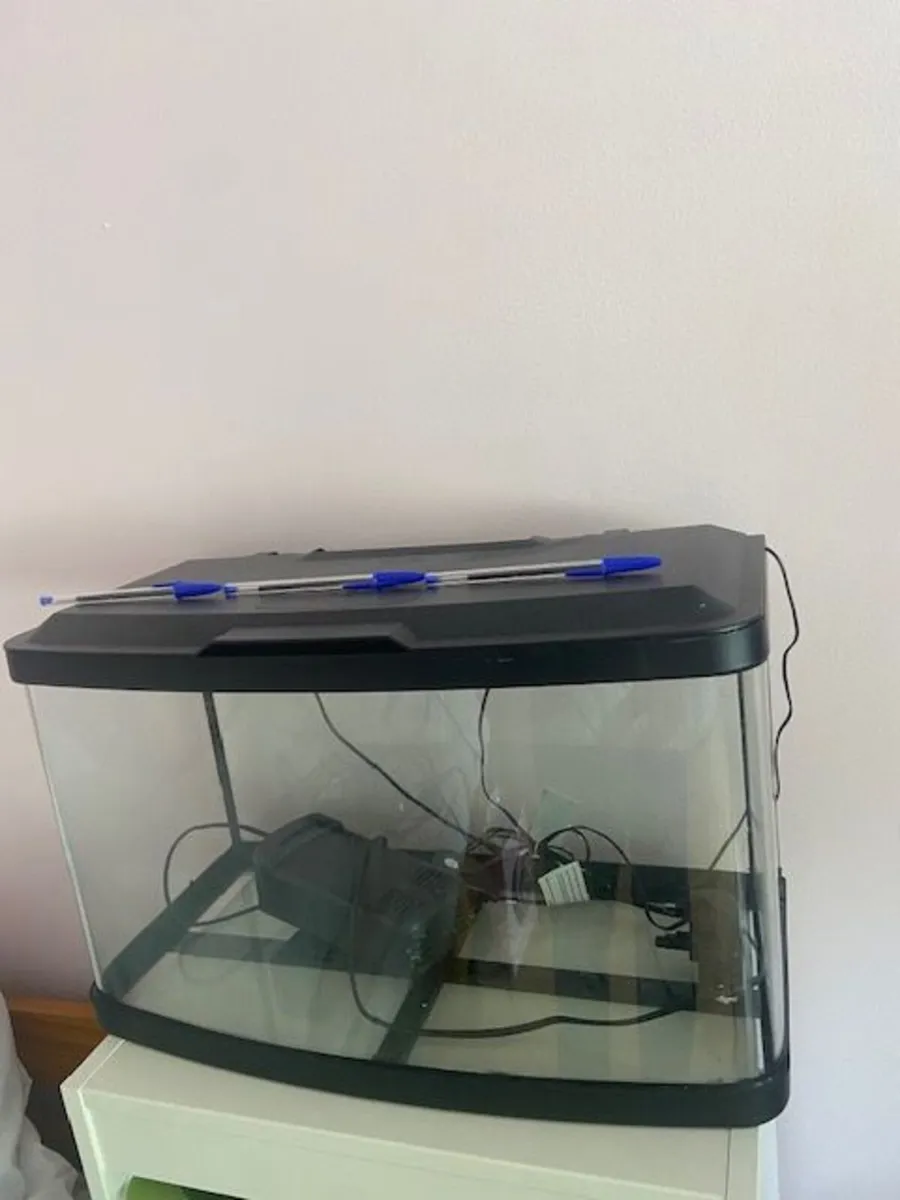 Fish Tank - Image 1