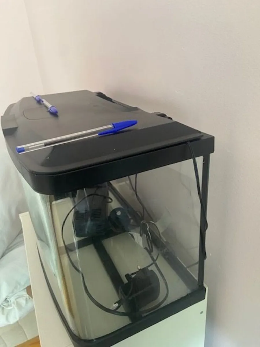 Fish Tank - Image 2