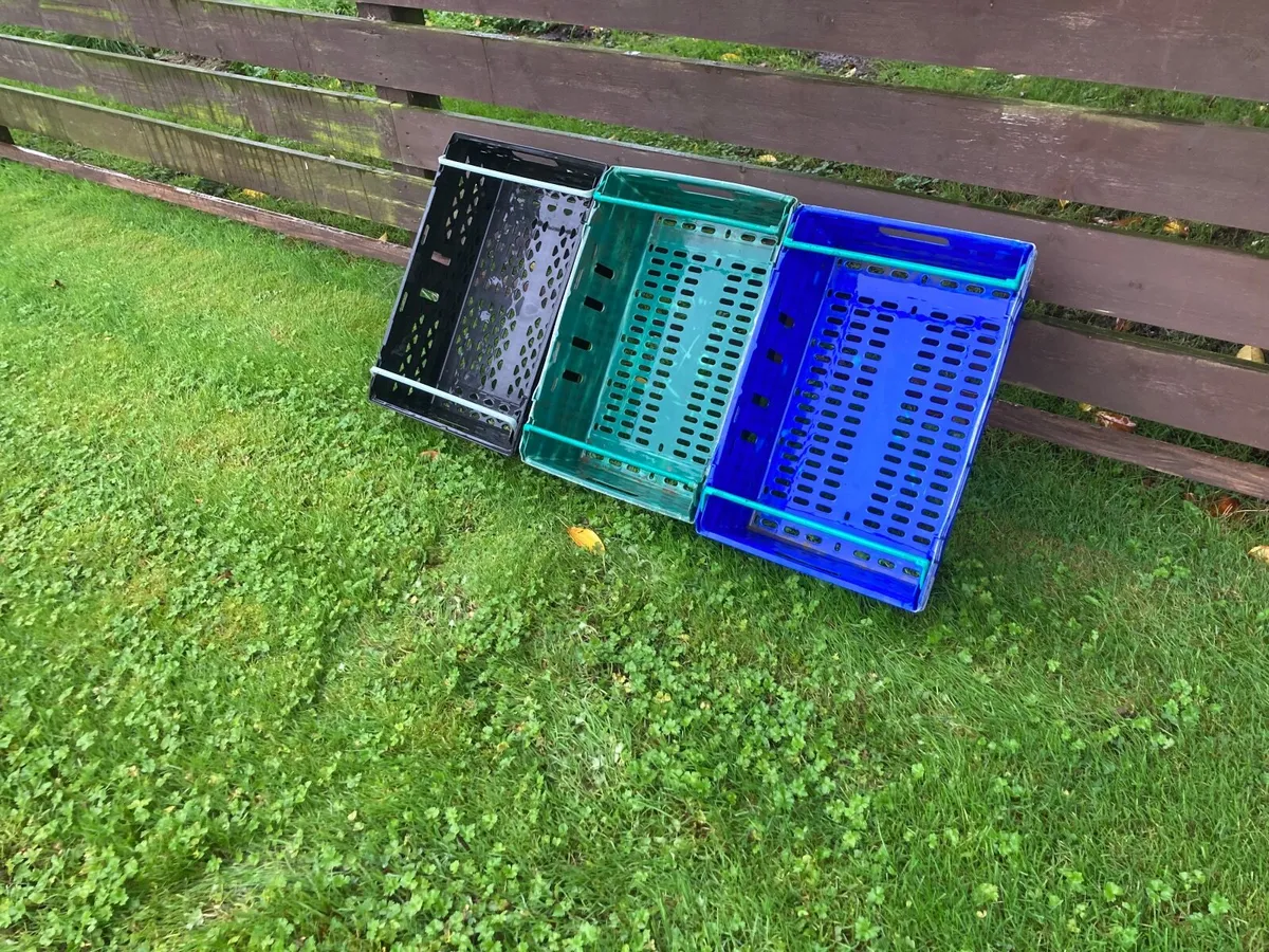 Plastic storage trays - Image 1