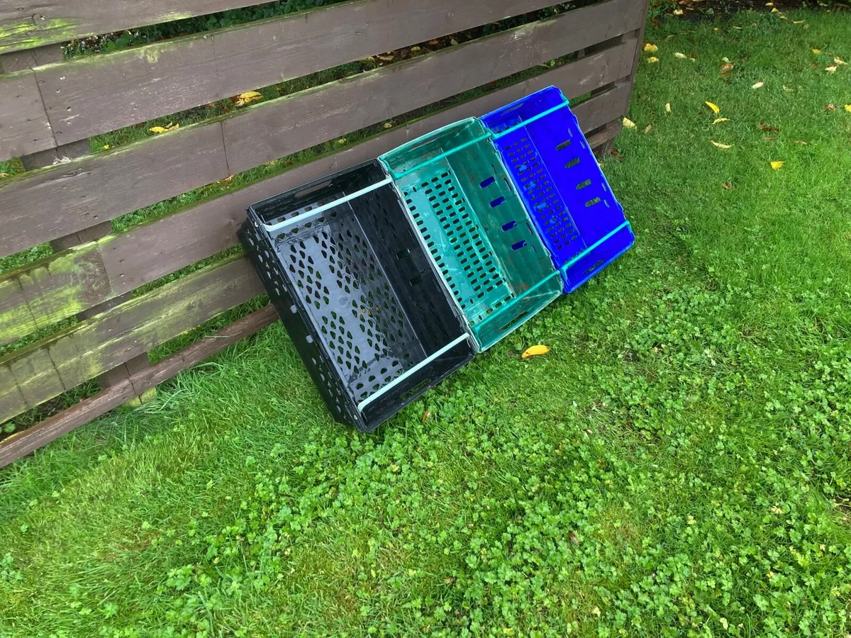 Plastic storage trays - Image 2