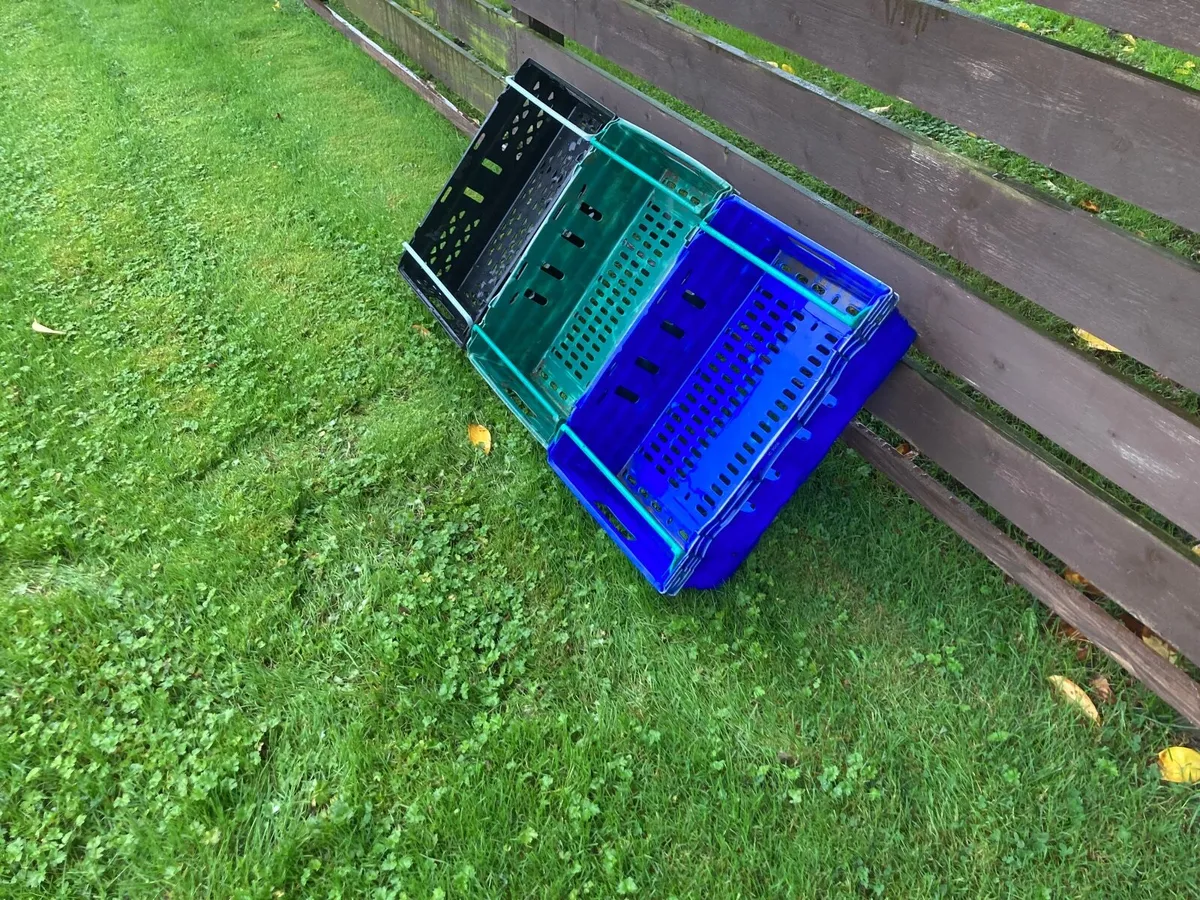 Plastic storage trays - Image 3