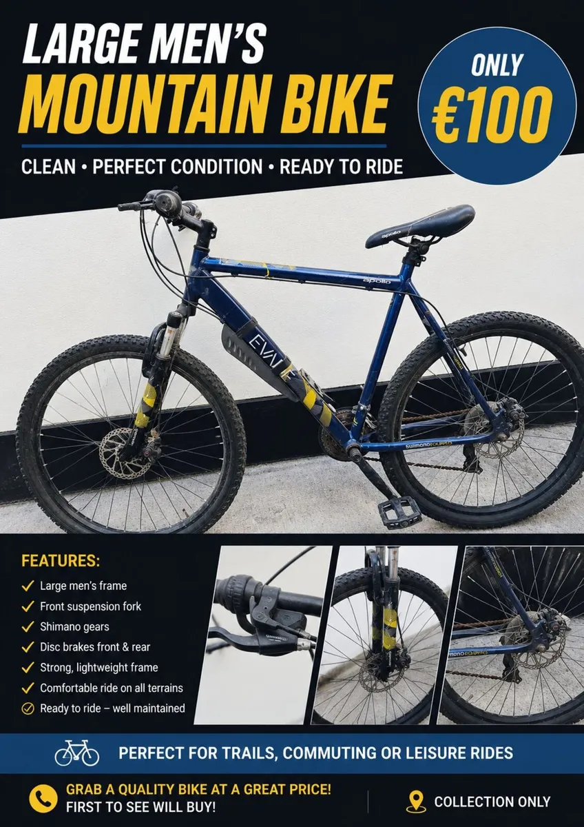 Large Men's Mountain Bike – €100 !